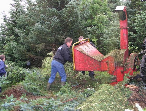 Her er det Egil henriksen og Trond Hanberg som forsyner fliskutteren med kvist og greiner.