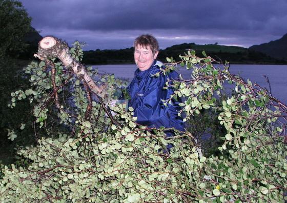 Den siste kvisthaugen er samla i hop og Bjørg Wolden er glad for det.