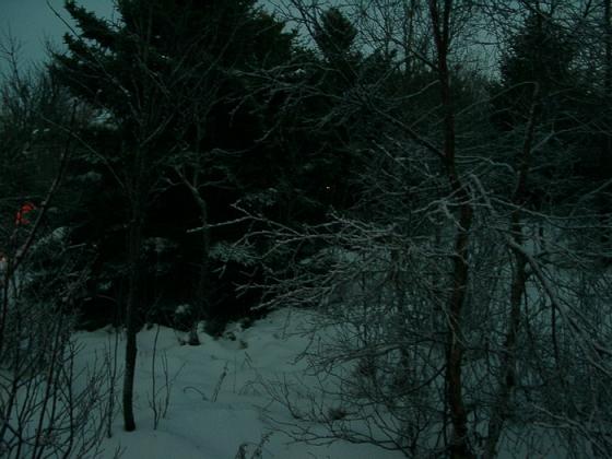 Det det begynte å skjømmes var det på tur i skogen for å se etter nissen, men så vi han?