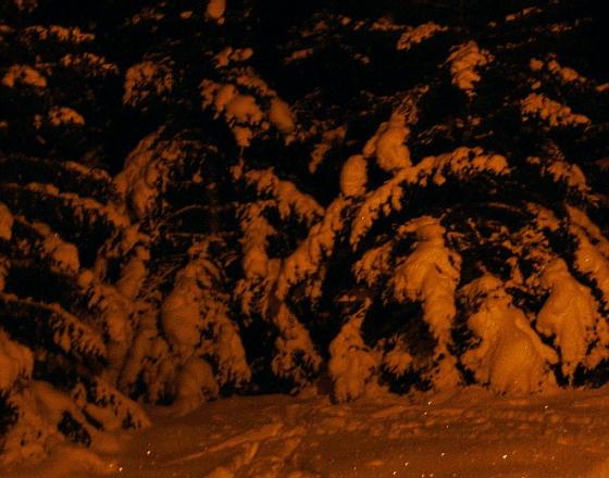 Du får litt trolsk stemning med på turen, eller kanskje litt julestemning.