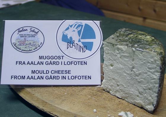 I mars tok jeg dette bildet for å illustrere en artikkel i Sau og Geit, som viser muggosten Blåtind fra Aalan gård.