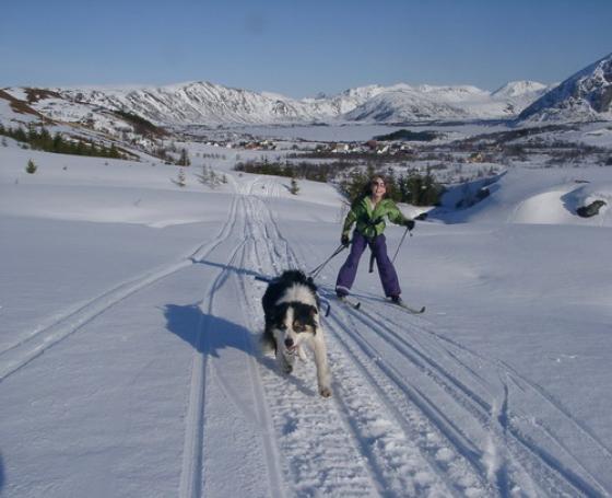 ..finns det andre måter å ta seg frem på.