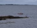 Til Røssøya på sommerbeite