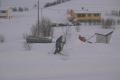 Og snøen kom til Vestvågøy